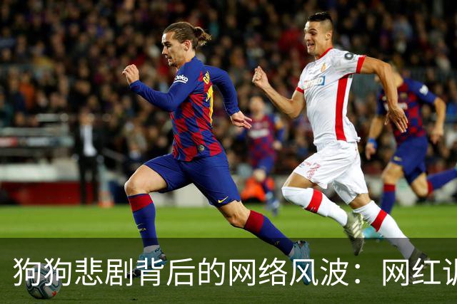 狗狗悲剧背后的网络风波：网红训狗师的终审大戏
